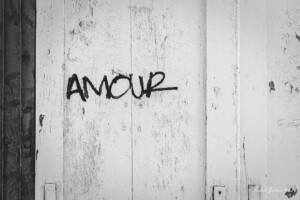 Amour